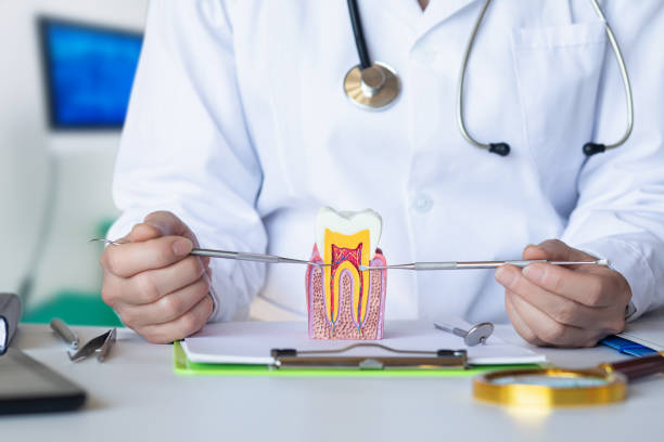 Best Emergency Wisdom Teeth Removal in Honsville, GA